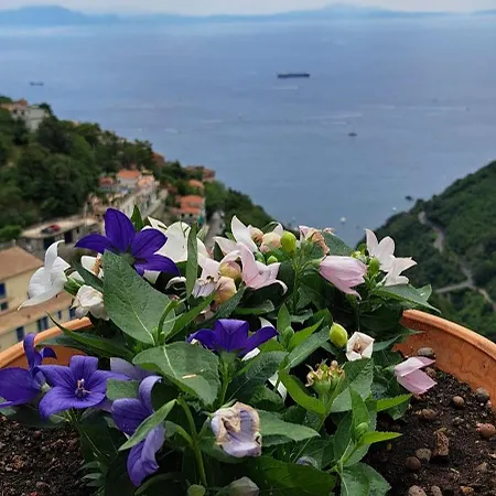 Casatoccacielo - Amalfi Coast Albori
